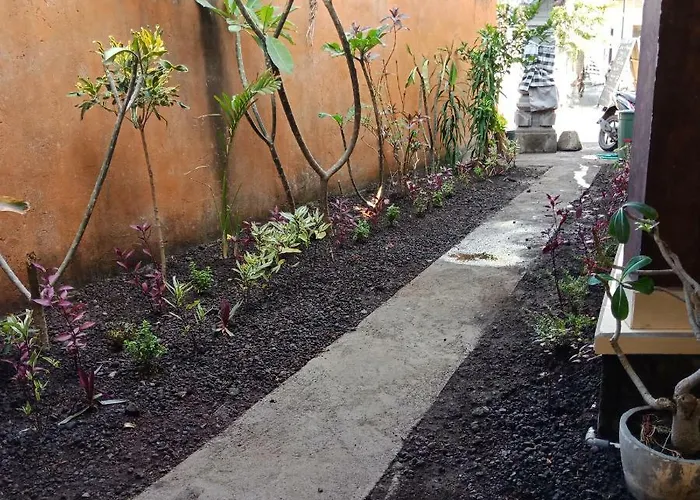 Backpackers Home Amed