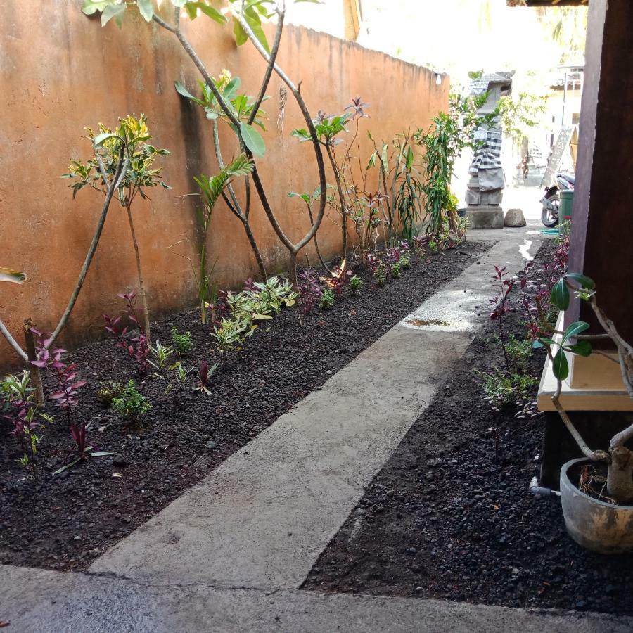 Homestay Backpackers *